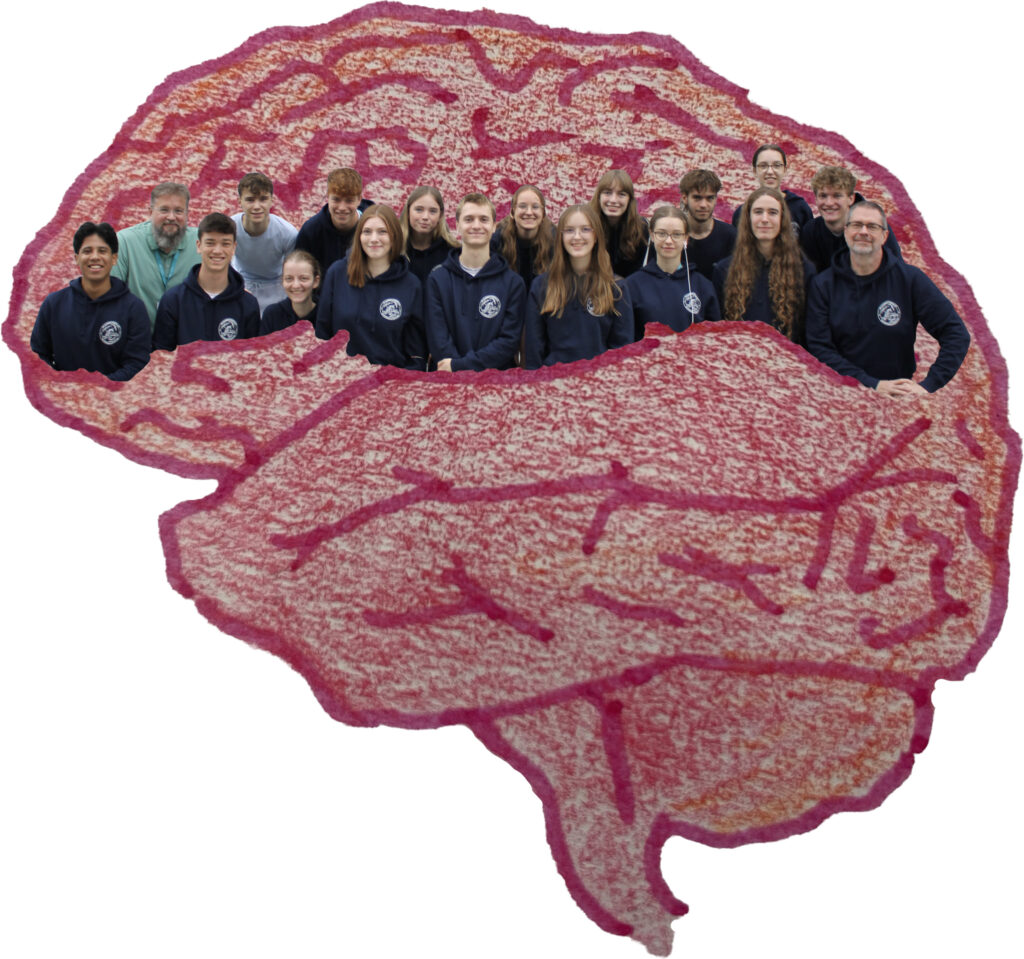 Vorderer Sulcus, von links nach rechts: Freddy Scheper, Lukas Berger, Dorothee Happ, Carolin Eichen, Hugo Wohlfahrt, Antonia Schneider, Julia Palica, Luna König, Tobias Kläden
Hinterer Sulcus, von links nach rechts: Willem Warnecke, Mathis Krämer, Olli Saeftel, Hannah Preis, Selina Fischerkeller, Lea Amend, Malte Dierkes, Mathilda Böse, Julius Fuhrmann